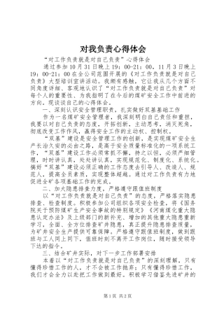 对我负责心得体会