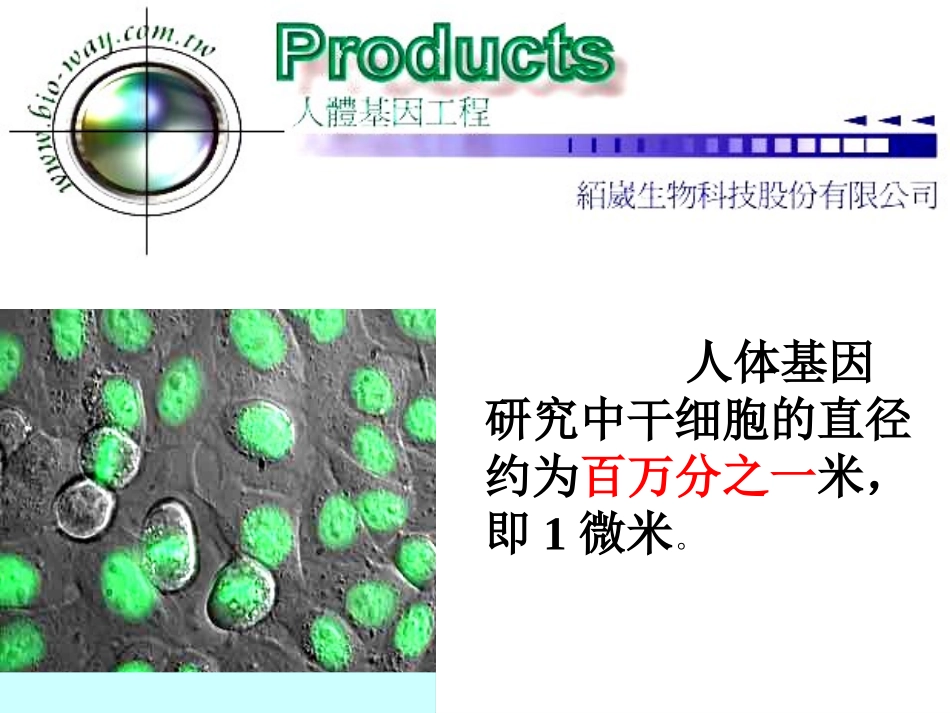 （课件）31认识百万分之一_第3页