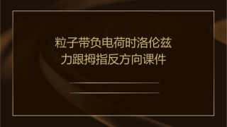 粒子带负电荷时洛伦兹力跟拇指反方向课件