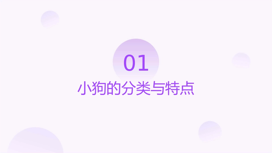小狗种类的详细介绍课件_第3页