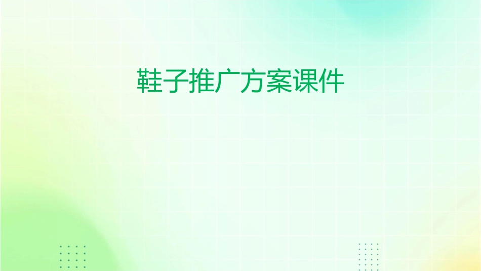 鞋子推广方案课件_第1页