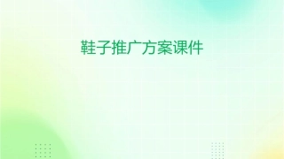 鞋子推广方案课件