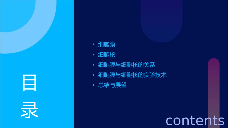 输出细胞膜与细胞核课件_第2页