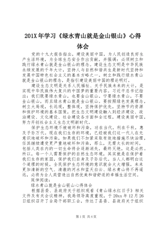 201X年学习《绿水青山就是金山银山》心得体会