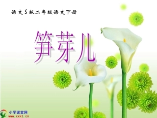 二年级语文下册《笋芽儿》PPT课件之三（语文S版）