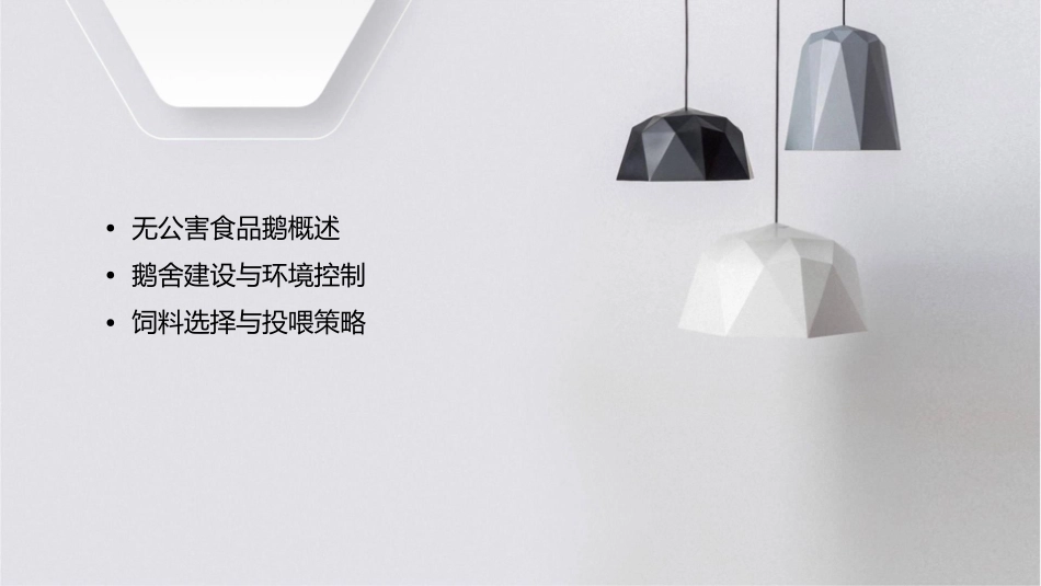 无公害食品鹅饲养管理技术规范课件_第2页