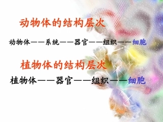 七年级生物《单细胞生物》课件