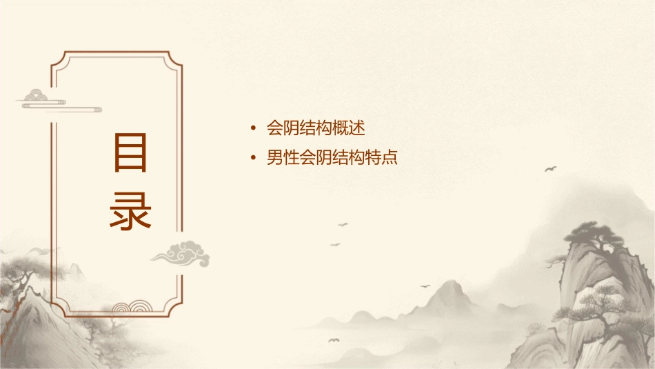 男性会阴结构课件_第2页