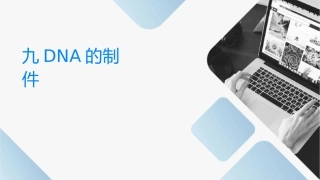 试验九质粒DNA的制备课件