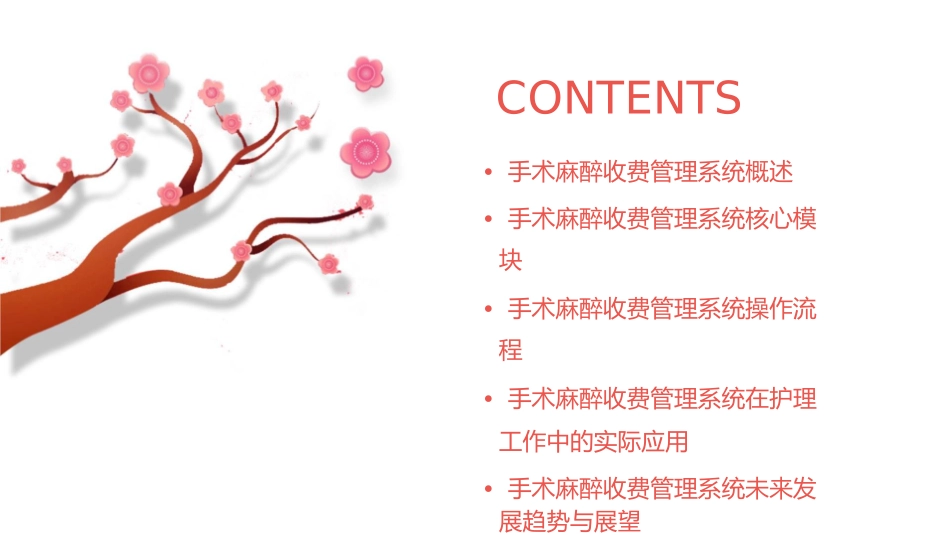 手术麻醉收费管理系统解读护理课件_第2页