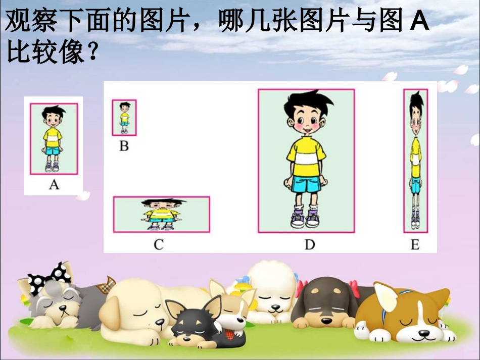 北师大版六年级数学上册《生活中的比7》PPT课件_第2页