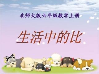 北师大版六年级数学上册《生活中的比7》PPT课件
