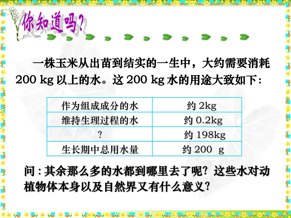 绿色植物与生物圈的水循环_第2页