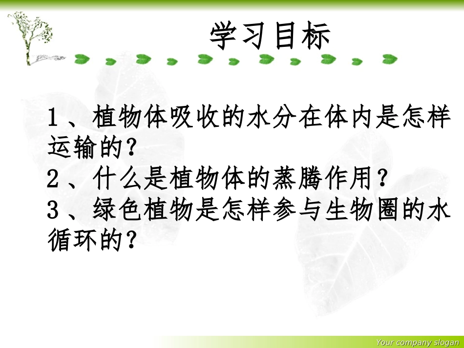 绿色植物与生物圈的水循环_第3页