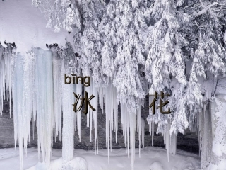 冰花PPT课件之三苏教版教材