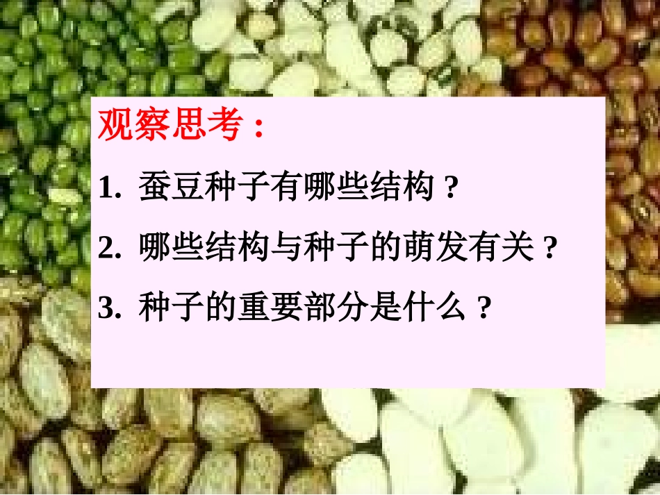 八年级生物种子的萌发过程[1]_第2页