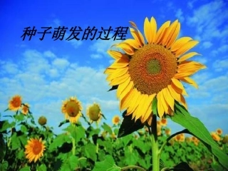 八年级生物种子的萌发过程[1]