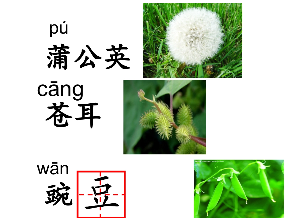 植物妈妈有办法 (5)_第2页