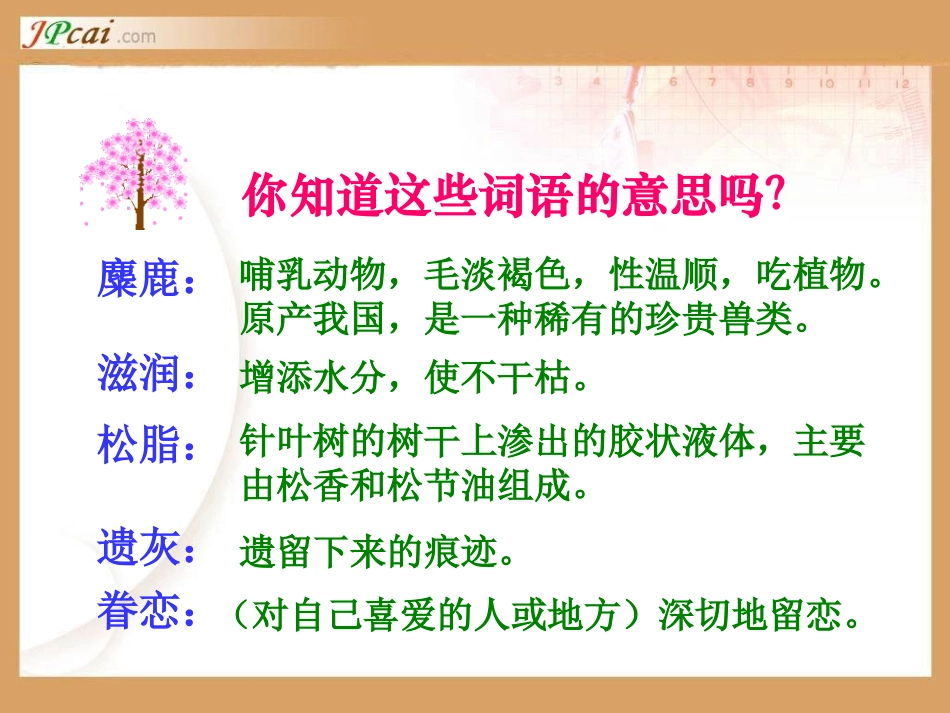 这片土地是神圣的课件_第3页