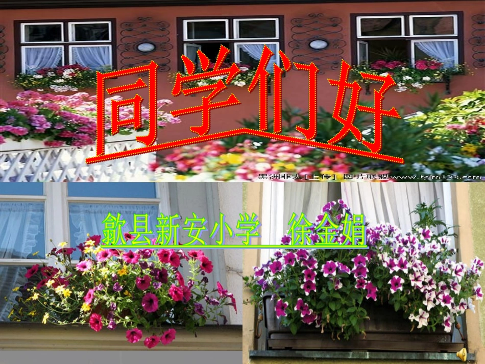 《自己的花是让别人看的》课件（徐金娟）_第1页