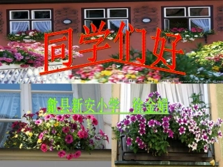 《自己的花是让别人看的》课件（徐金娟）