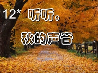 听听秋的声音