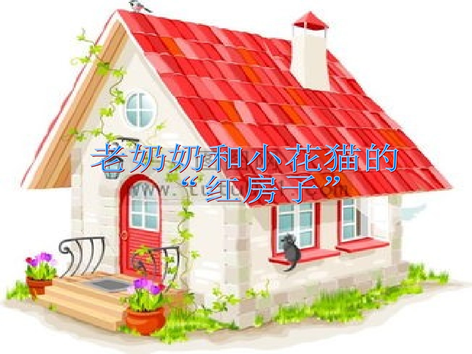戴眼镜的小猫_第2页