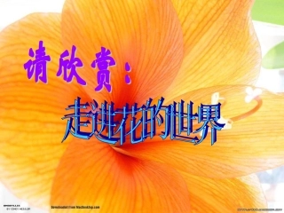 【精品课件三】第三节开花和结果