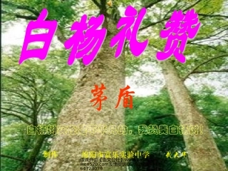 《白杨礼赞》课件