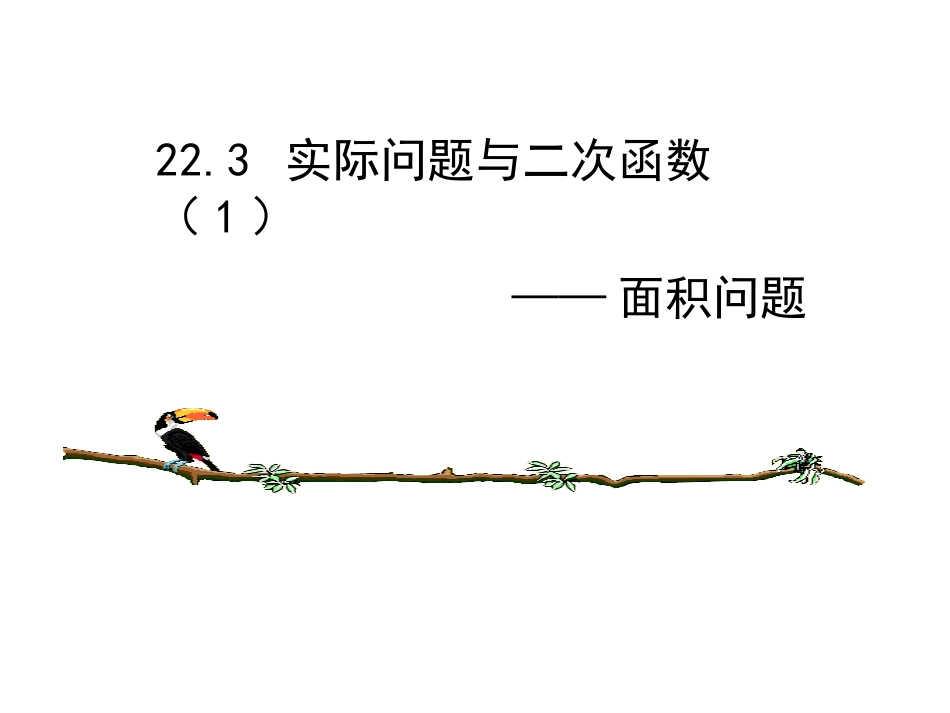 实际问题与二次函数面积问题_第1页