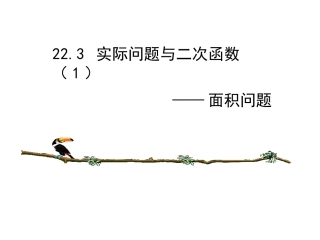 实际问题与二次函数面积问题