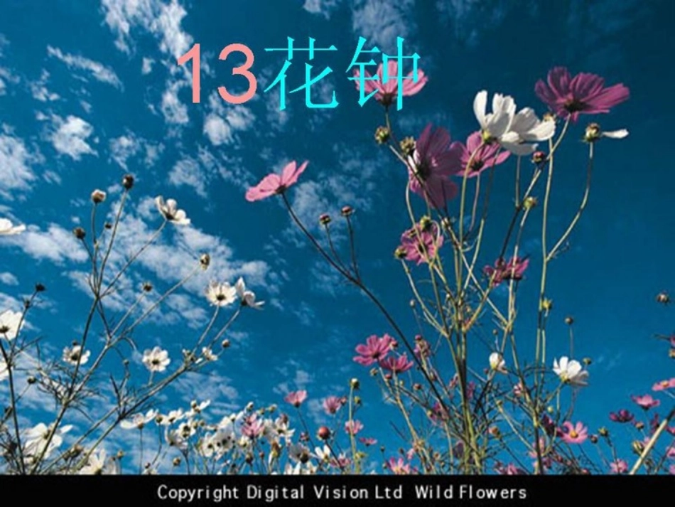 花钟课件 (2)_第1页