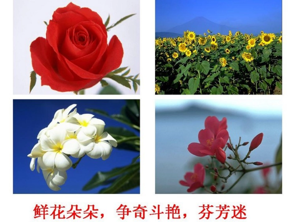 花钟课件 (2)_第2页