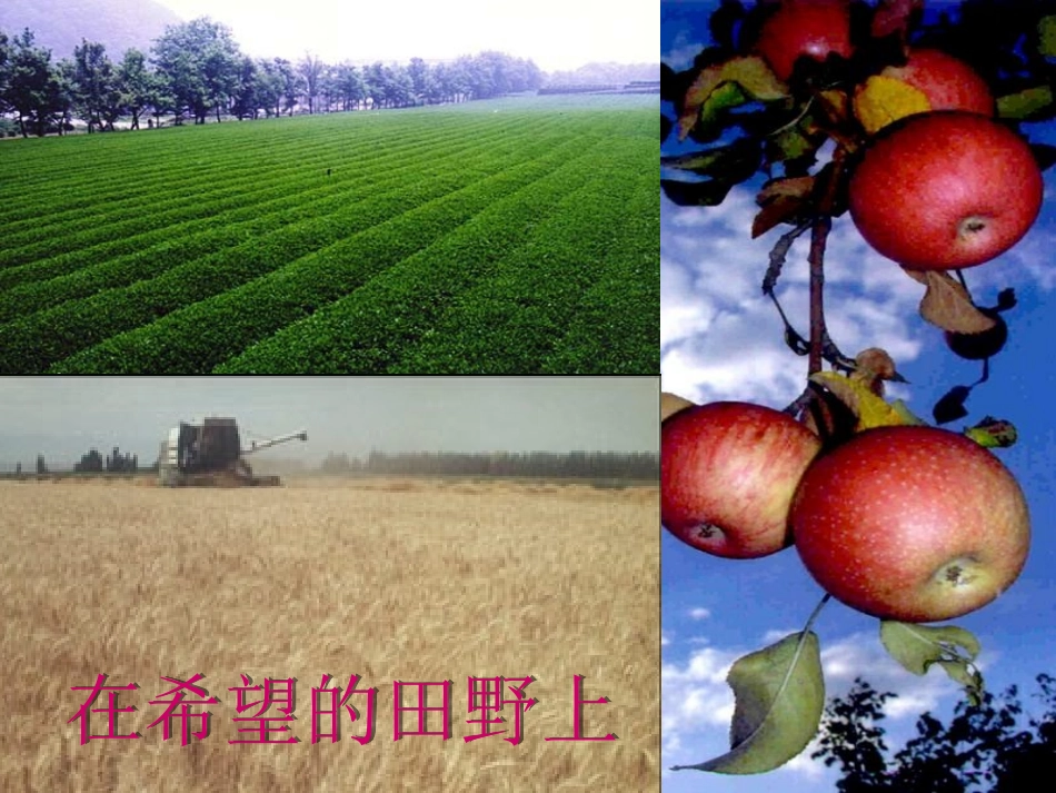 课题2化学肥料_第1页