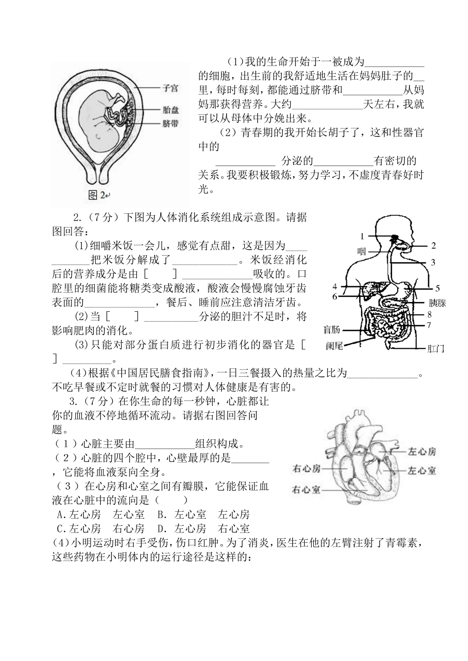 七生下期中测试卷附答案_第3页