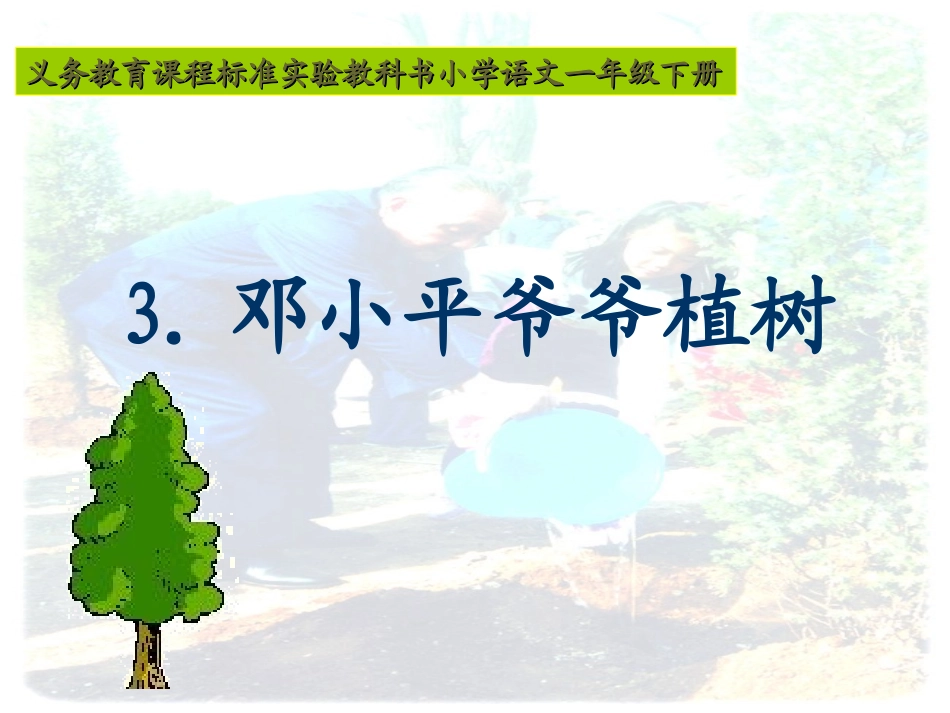 《邓爷爷植树》教学课件_第3页
