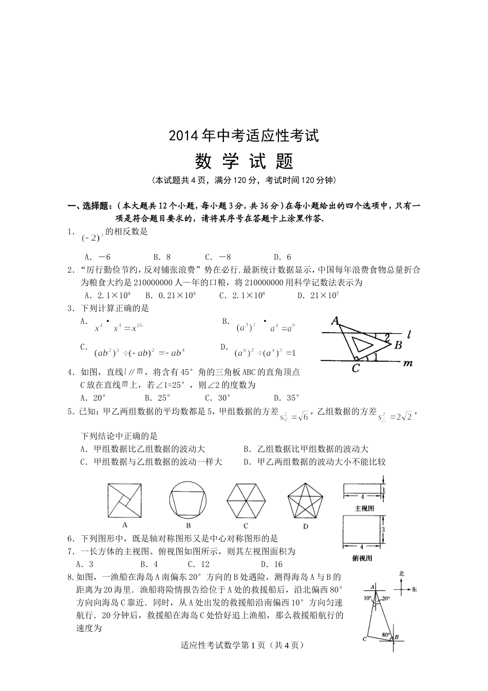 2014年数学适应性考试题_第1页