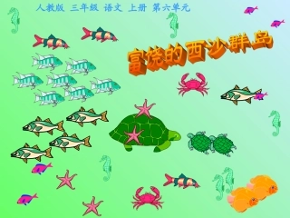 三年级语文上册富饶的西沙群岛1课件人教版