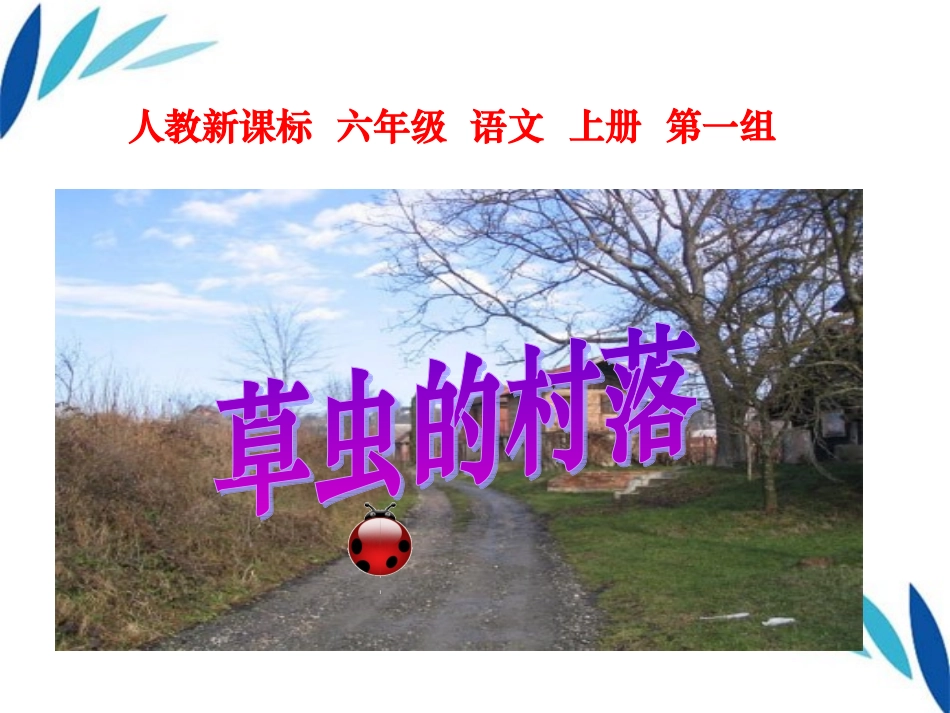 六年级语文上册草虫的村落课件4人教新课标版_第3页