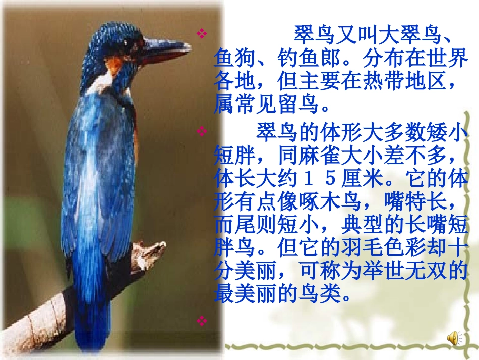 翠鸟课件上20100313_第2页