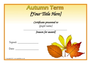 可爱的枫叶奖状