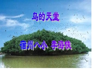 人教版四年级语文上册《鸟的天堂》PPT课件 (2)