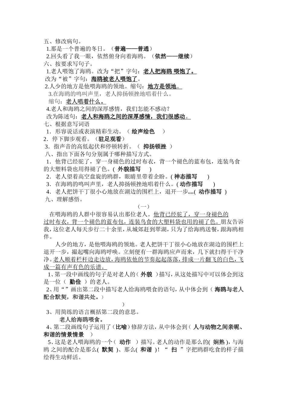 老人与海鸥练习题_第1页