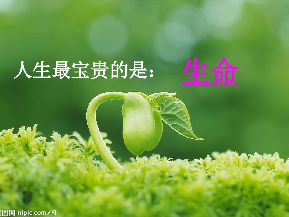 人教版四年级品德_第2页