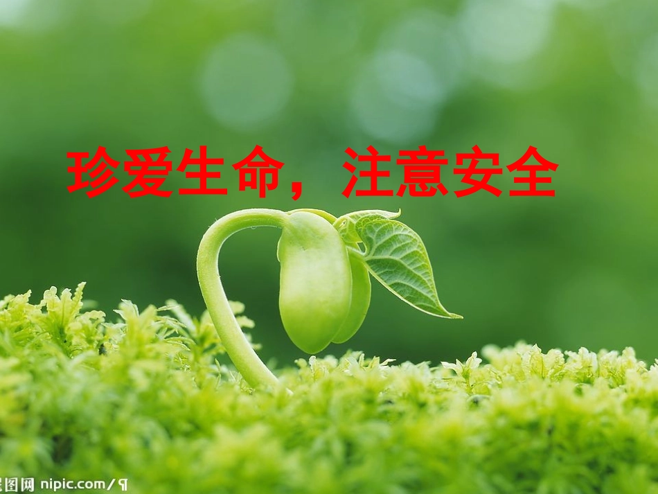 人教版四年级品德_第3页