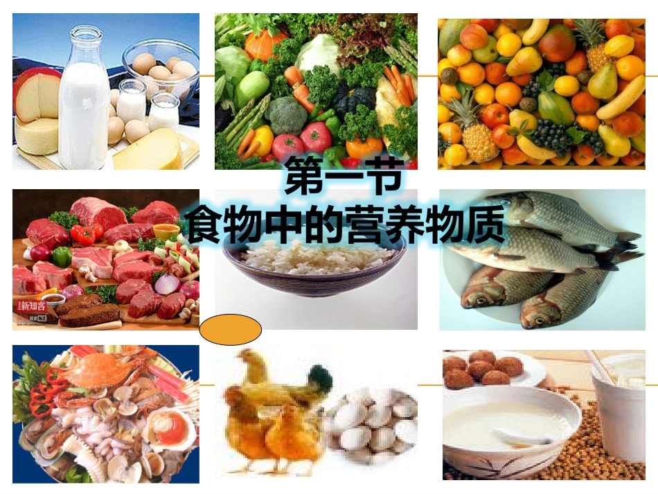 邱昭文人体的营养（1课时）_第2页