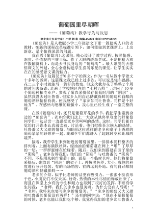 葡萄园里尽朝晖