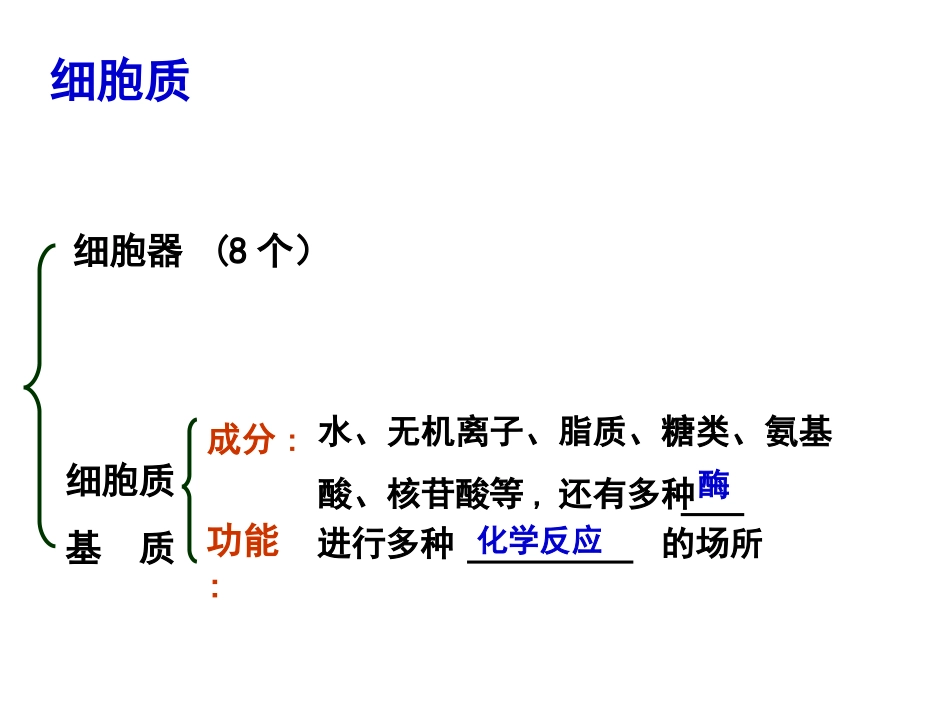 一轮复习细胞器_第2页