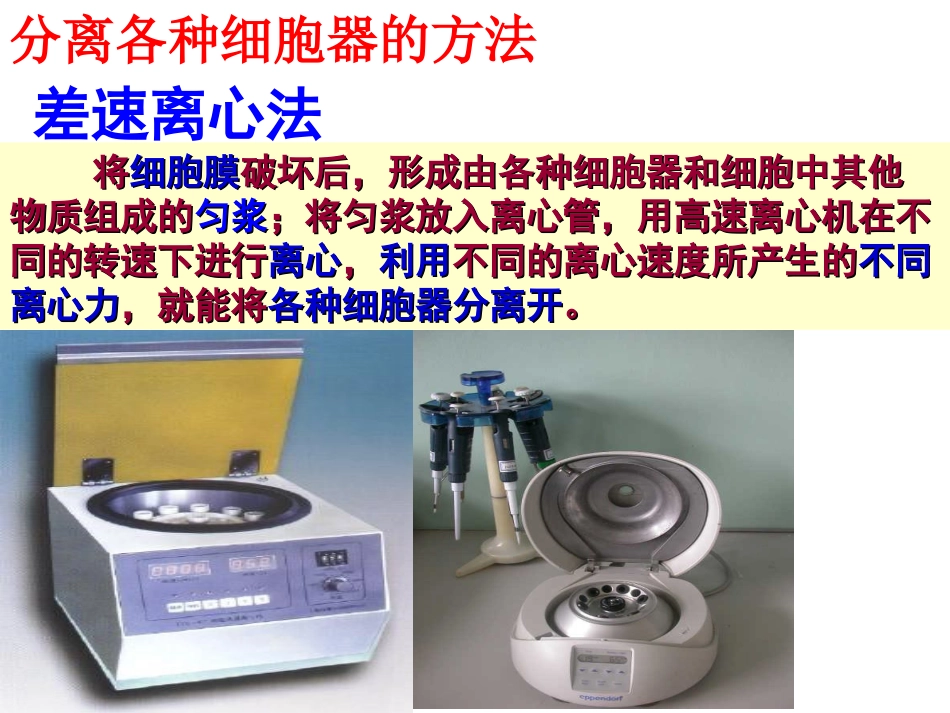 一轮复习细胞器_第3页