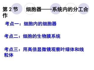 一轮复习细胞器